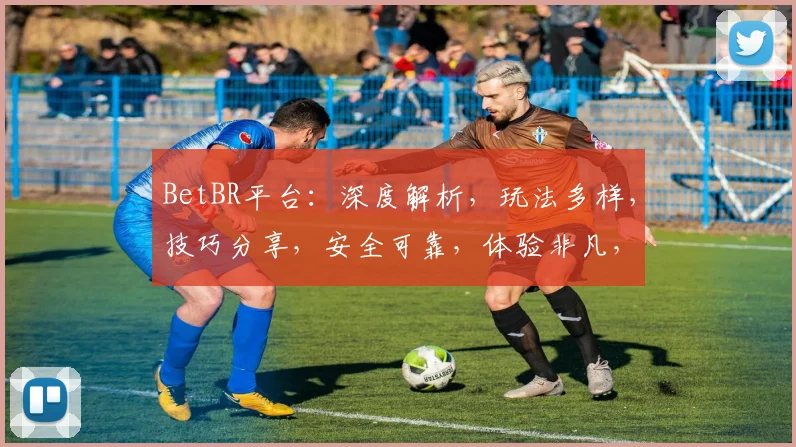 BetBR平台：深度解析，玩法多样，技巧分享，安全可靠，体验非凡，必看攻略