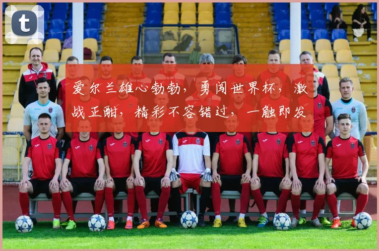 爱尔兰雄心勃勃，勇闯世界杯，激战正酣，精彩不容错过，一触即发