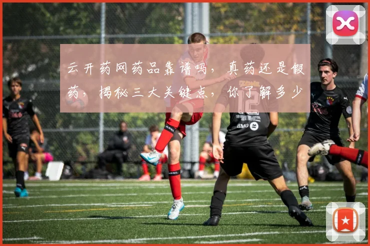 云开药网药品靠谱吗，真药还是假药，揭秘三大关键点，你了解多少