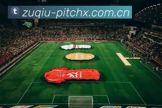 2018世界杯世预赛激战正酣，各国球队谁能脱颖而出，一展雄风